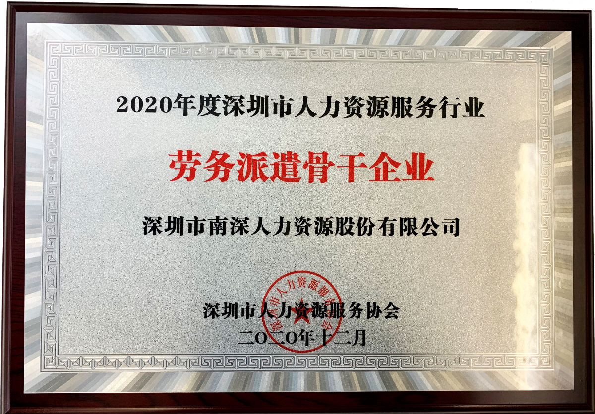 2020年度丽江市人力资源服务行业劳务调派骨干企业 2020年度丽江市人力资源服务行业劳务调派骨干企业